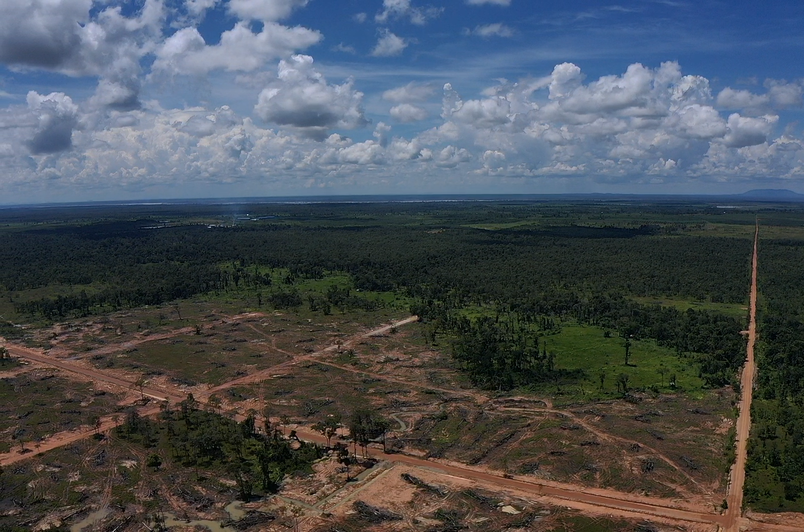 Satellite Data Shows Protected Areas Faced Brunt of Deforestation in 2022