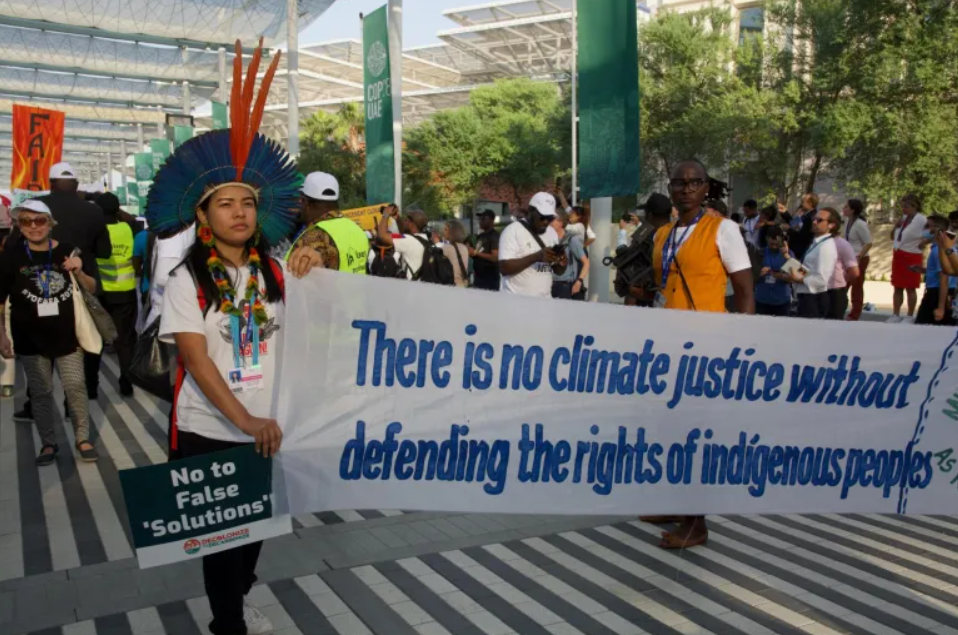 Can Indigenous inclusivity be the key to successful carbon markets?