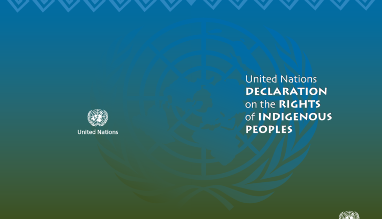 The UN Declaration on the Rights of Indigenous Peoples