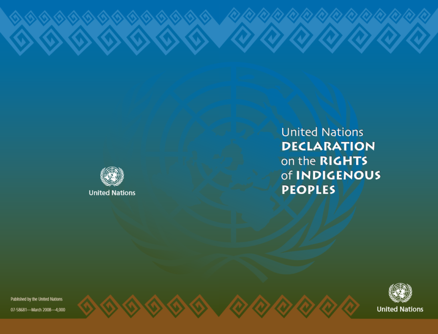 UN Declaration on the Rights of Indigenous Peoples (UNDRIP)