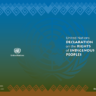 UN Declaration on the Rights of Indigenous Peoples (UNDRIP)